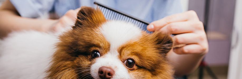 TOWN & COUNTRY Pet Grooming Cover Image