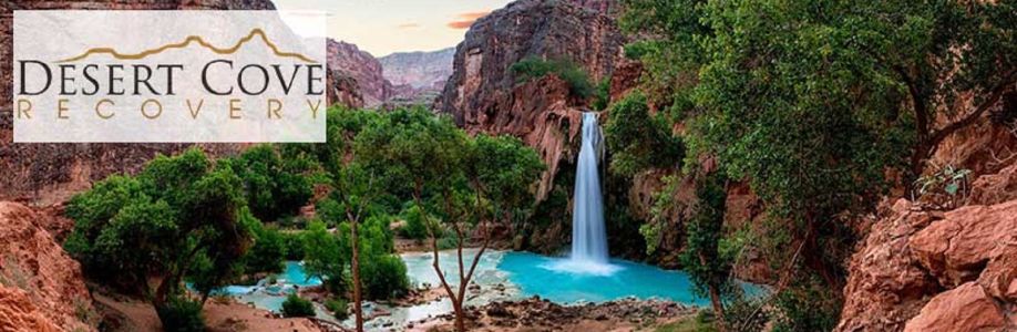Desert Cove Recovery Cover Image