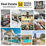 Noida Realty