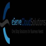 eServeCloud Solutions Pvt. Ltd