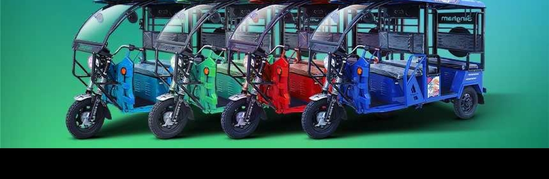 Singham E-Rickshaw Cover Image
