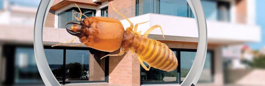 bugs or us pest control Cover Image
