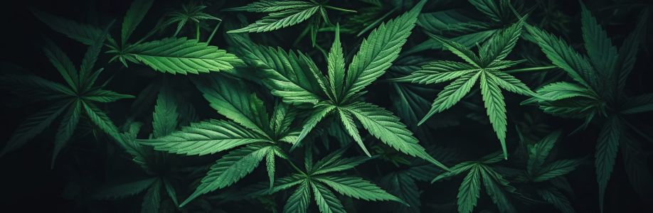 Green Life Cannabis Cover Image