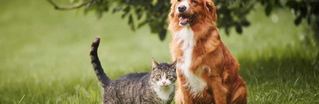 Healthier Pet Cover Image