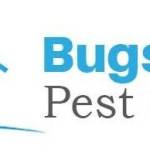 bugs or us pest control
