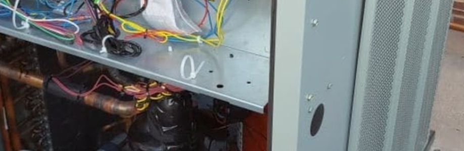 BIMS Inc Cover Image