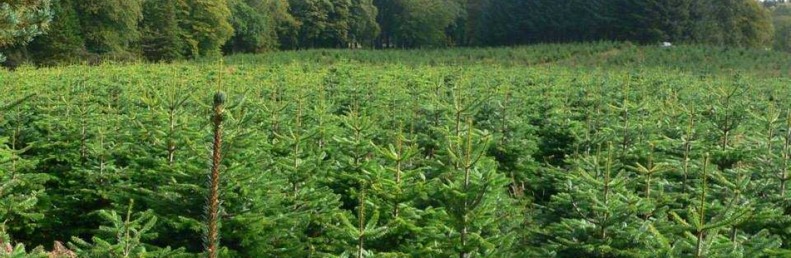 Country Business Cover Image