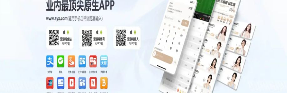 爱游戏 Cover Image