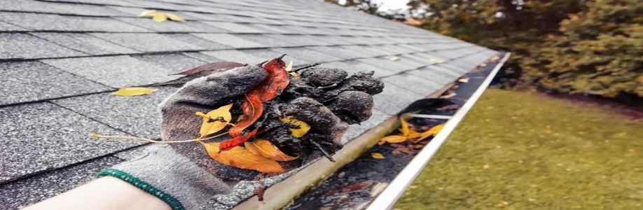 Regal Gutter Cleaning Geelong Cover Image