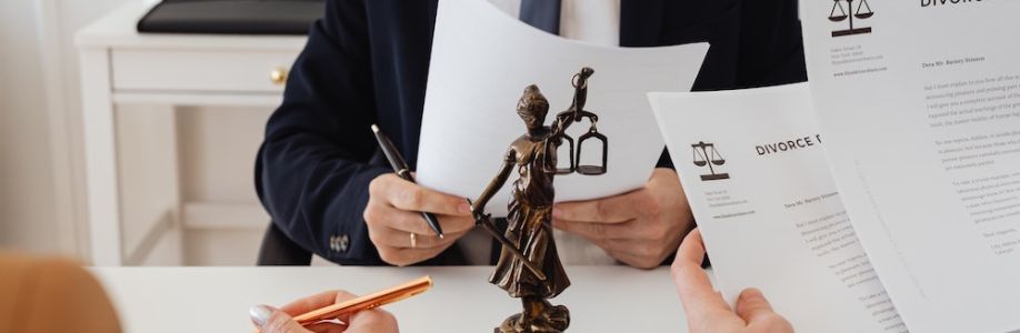 David genis law Professional corporation Cover Image