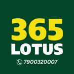 lotus365 exchange