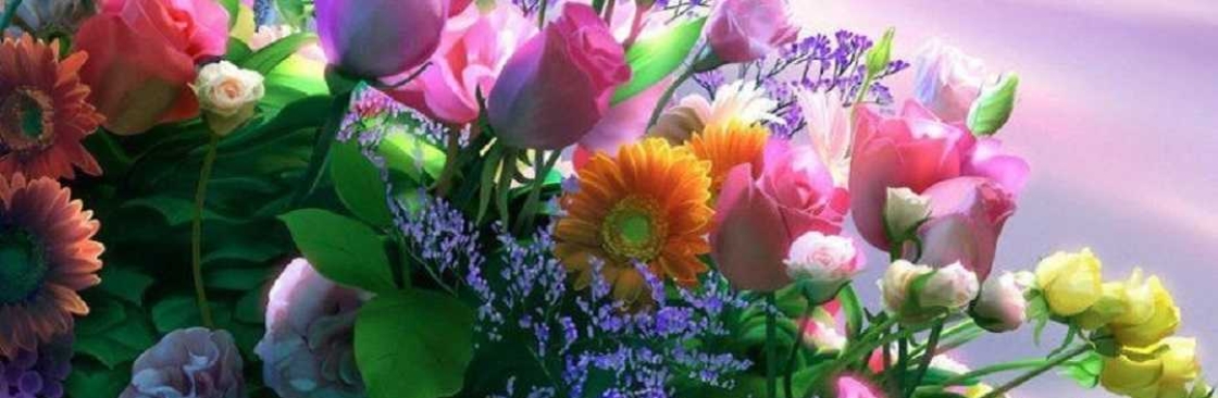 Hazel David Cover Image