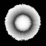 rotex uae Profile Picture