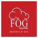 Fog Munnar