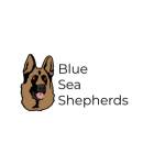 Blue Sea Shepherds