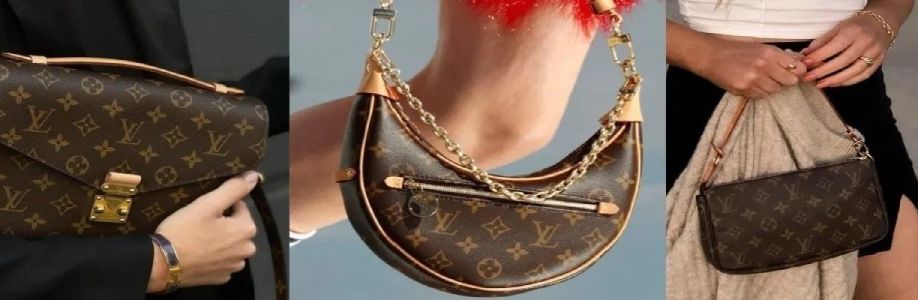 Sylish Bag Cover Image