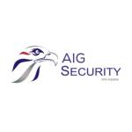 AIG Security