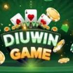diuwin hack
