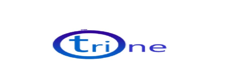 Tri One Management Cover Image
