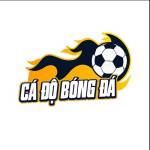 Trang cá độ bóng đá Profile Picture