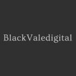 Black Vale Digital