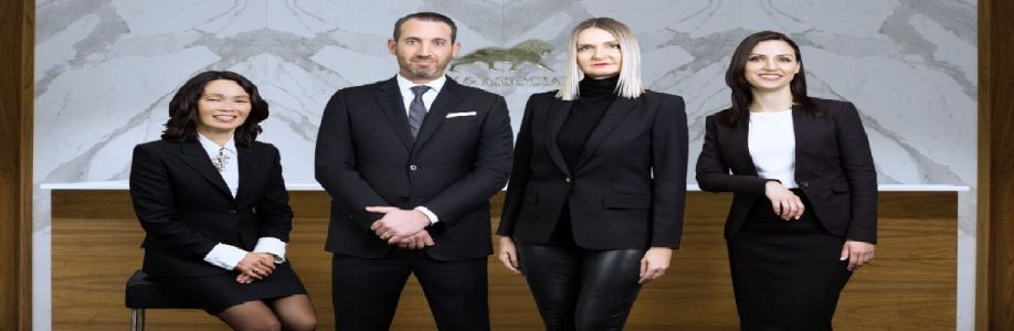 Levy & Associates Cover Image