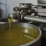oliveoilinbulk