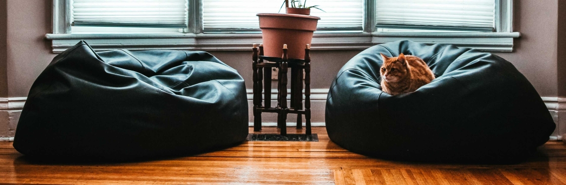 Living With Luxury Cover Image