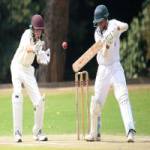 cricket games