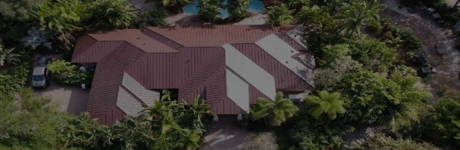 Roof Giants Cover Image