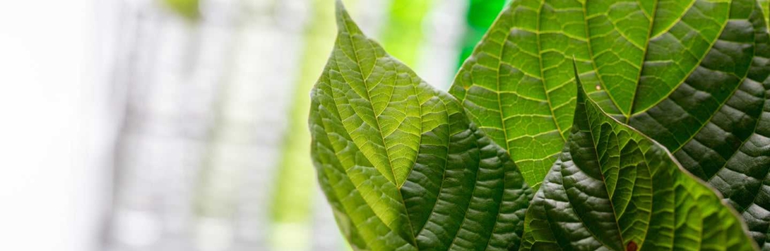 Mitra Science Cover Image