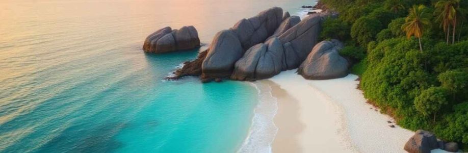 Beachory | Beach Directory Cover Image