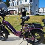 VICTRIP Ebike