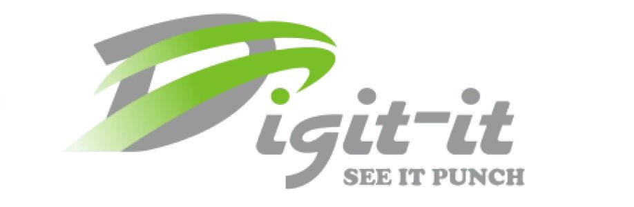 Digit It Cover Image