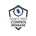 termite inspection Brisbane