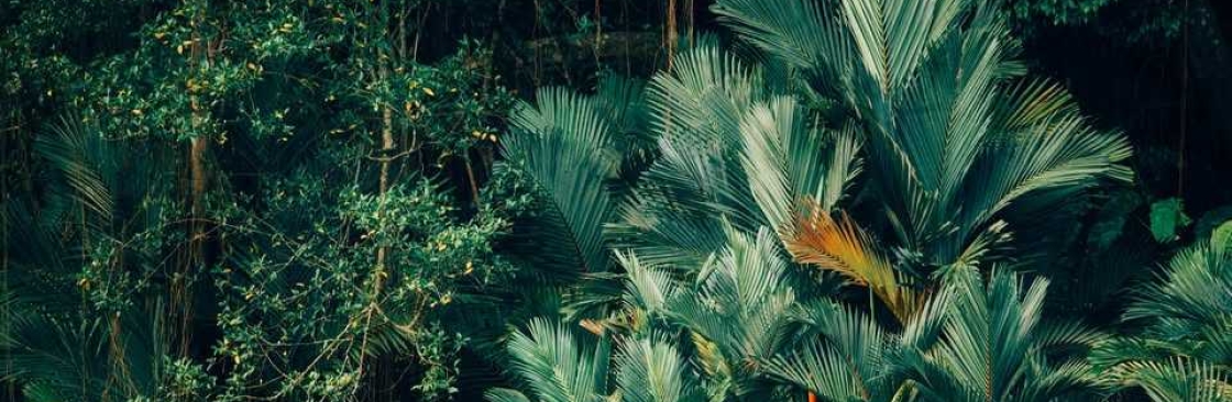 FlowState Therapy Cover Image