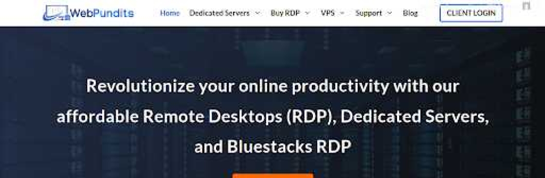 Web Pundits Cover Image