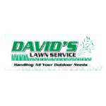 davidslawnservice