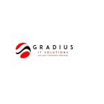 Gradius IT Solutions