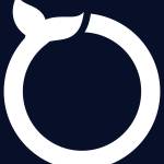 Software Orca - Mobile App Developers Dallas