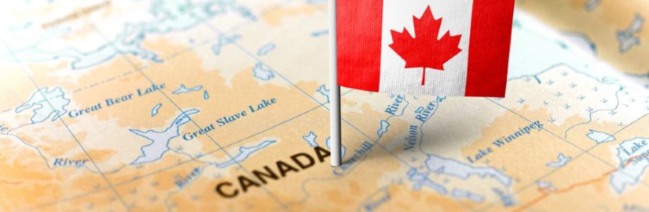 Hadson Immigration Corporation Cover Image