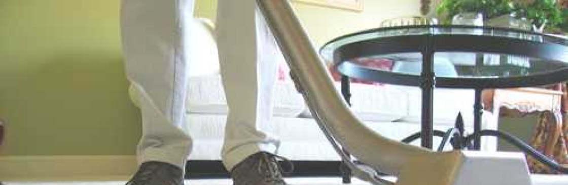 cleanerz 2go Cover Image