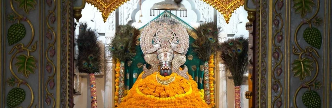 Shree Shyam Jagran Party Cover Image