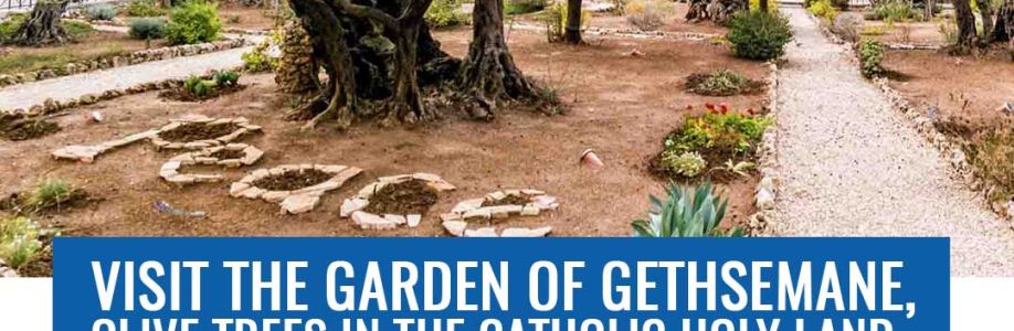 Christopher Cross Cover Image