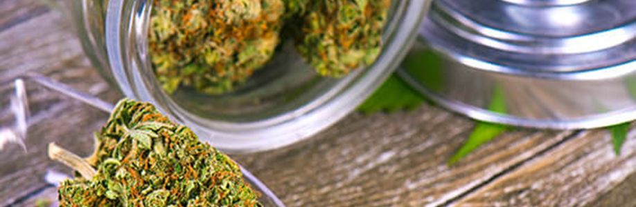 Green Therapy Cover Image