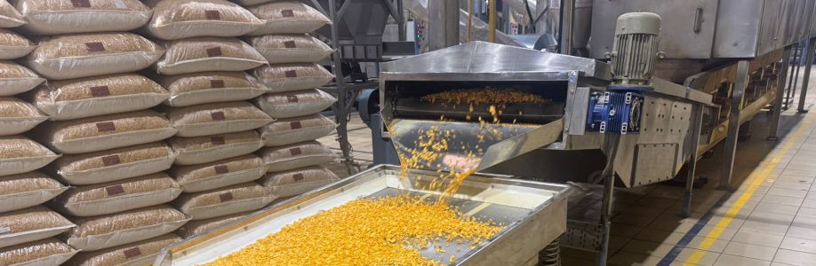 Abhay Engineering Cover Image