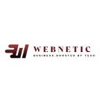 Webnetic Website Design